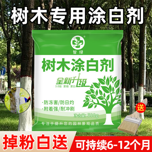 树木涂白剂树干刷白果树涂白粉