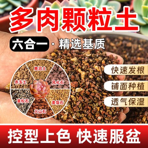 多肉颗粒营养土泥炭植物花铺面石