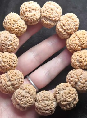 尼泊尔六6瓣25mm佛珠弥刻满肉双龙文玩大金刚菩提手串一物一拍