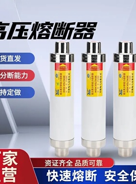 XRNT-10KV50A63A100A高压高分段能力限流熔断器保险管SFLAJ-12KV