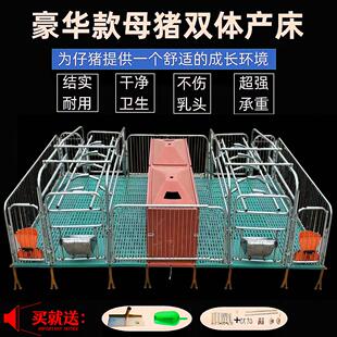 新款母猪产床全套一整套产保一体两用双体产床单体产床仔猪保育床