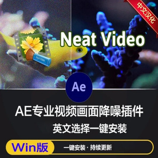 AE插件专业视频降噪插件Neat Video Pro 6.0.0 Win一键安装教程