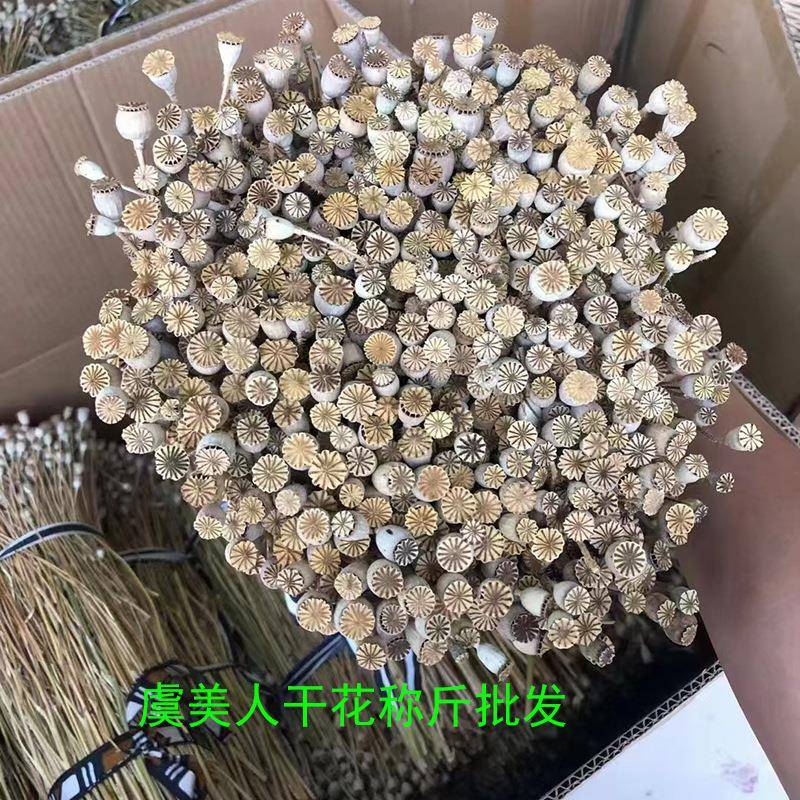 虞美人干花称斤论斤卖干花花材材料植物干花云南