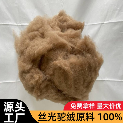 丝光驼绒骆驼绒毛水洗消毒无异味 被子服装填充物原料厂家直销1Kg
