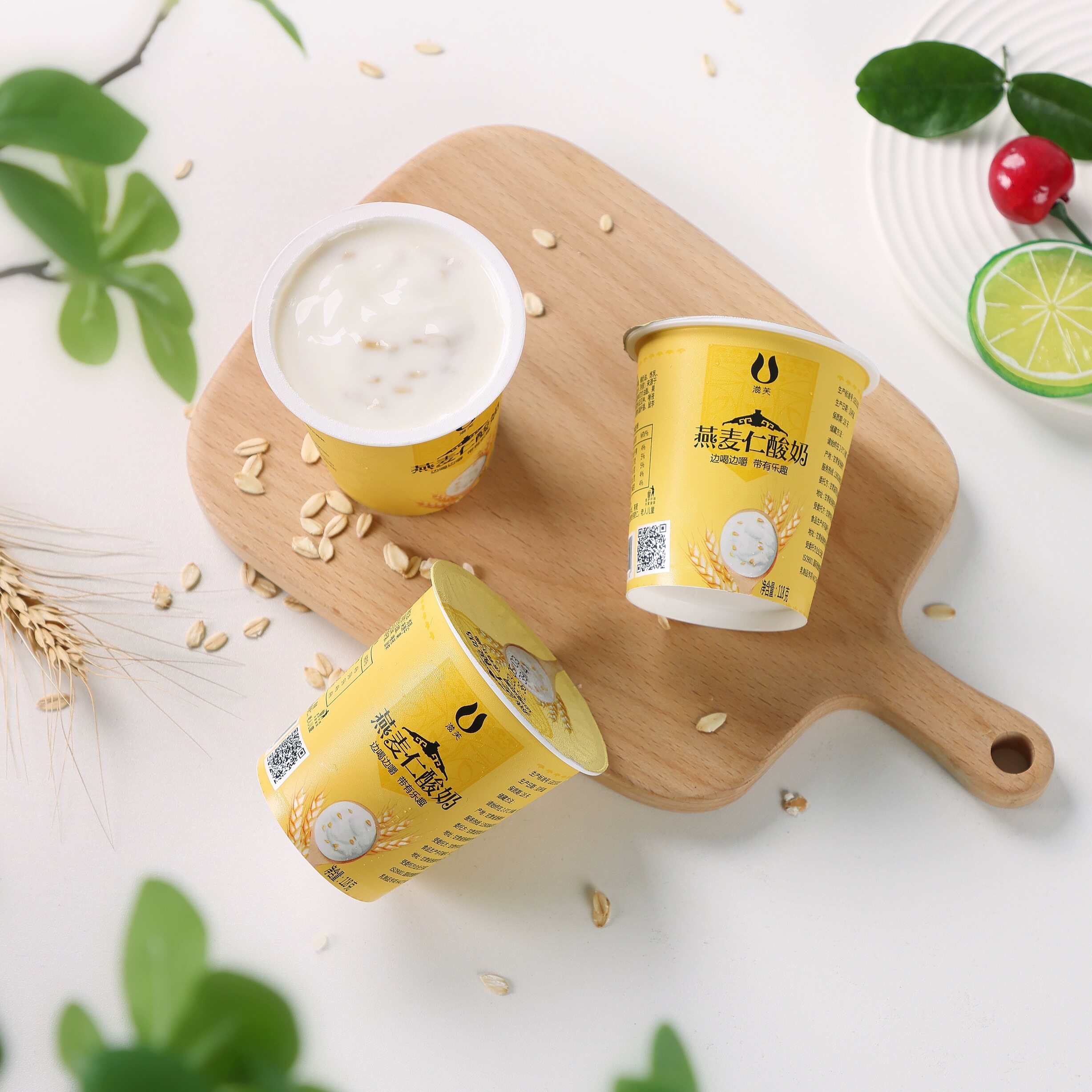 滋芙酸奶滋芙燕麦仁酸奶高原新疆酸奶原生纯牛乳发酵轻食代餐酸奶