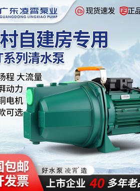 广东凌霄变频水泵JET150家用自吸泵喷射泵水塔抽水机井水抽水泵