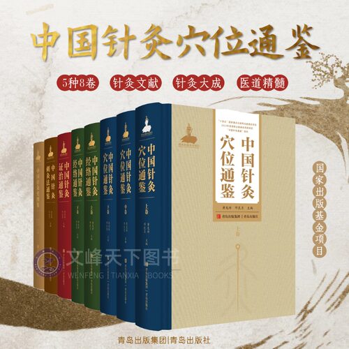 中国针灸穴位通鉴 国家出版基金项目 针灸大成 5种8卷 针灸文献 医道精髓 中医经典