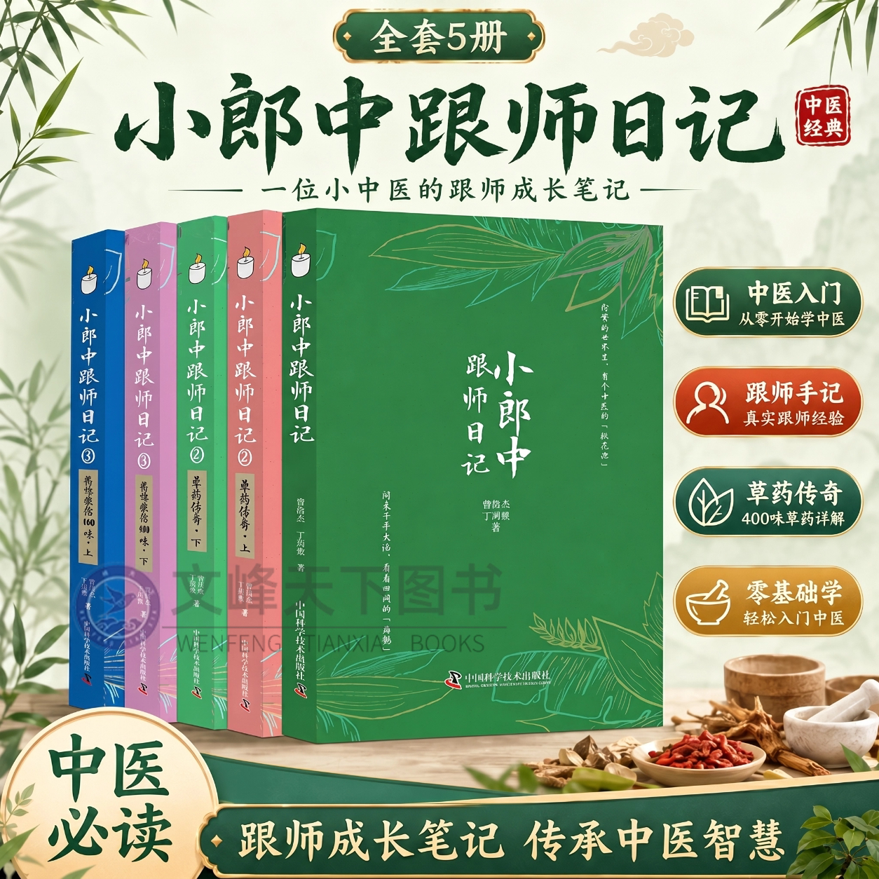 [文峰天下】小郎中跟师日记全套 曾培杰医书 配伍方法 功效应用 通俗易懂 歌赋口诀 性味归经 主治及配伍 功效和应用 中草药识别