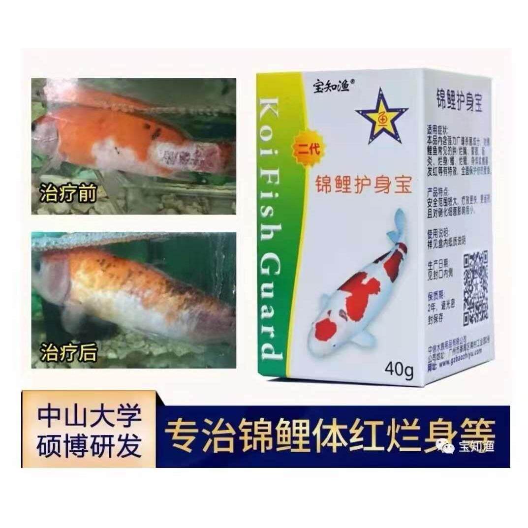 宝知渔锦鲤护身宝二代观赏鱼药体红烂身体白烂鳍烂嘴扎堆立鳞治疗