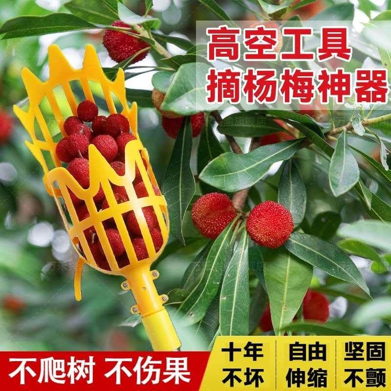 摘杨梅神器伸缩杆高空采摘枇杷水果工具芒果桃子无花果龙眼多功能,宠物/宠物食品及用品,宠物推车,淘宝优惠券,粉丝福利购,淘宝优惠卷