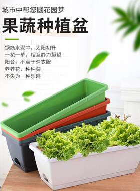Vegetable pots flower Plant rectangular large planting box