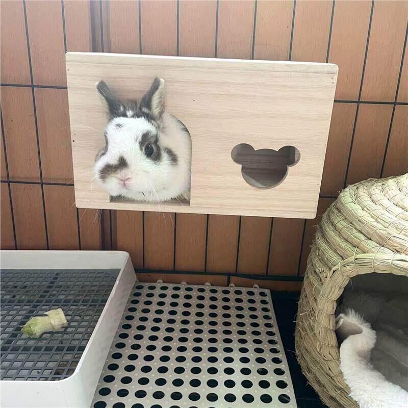 其他/oth龙猫实木木窝木屋鼠通豚鼠木笼松避房屋宠物窝兔兔躲避屋