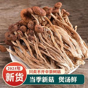 茶树菇农家特产香菇干货菌菇虫草煲汤不开伞营养新鲜精选商超品质