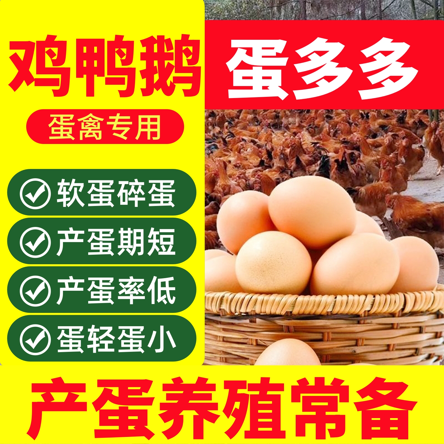 蛋多多蛋禽增蛋宝鸡鸭鹅鹌鹑通用