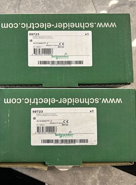 ACE969TP-2 RS485接口模块 59723