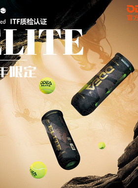 ODEA欧帝尔网球ELITE网球比赛有压高回弹专业训练网球3粒龙纹罐装
