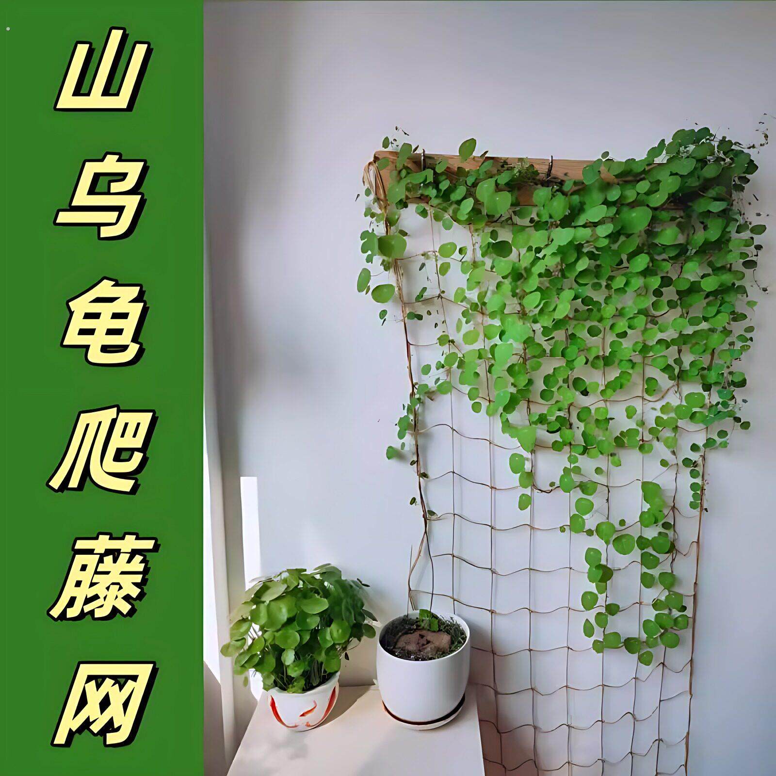 山乌龟爬藤植物麻绳软网格攀爬牵引专用月季蔷薇绿植藤蔓支撑架