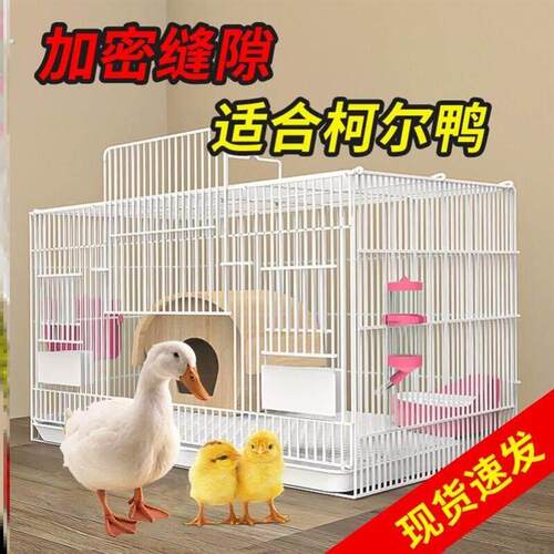 养芦丁鸡笼子饲养专用笼家用室内大号雏鸡雏鸭小鸭小鸡宠物笼加密