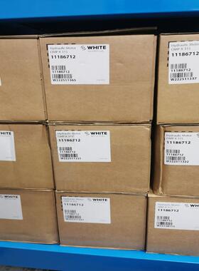 维修检查怀特摆线马达OMPX315 11186712