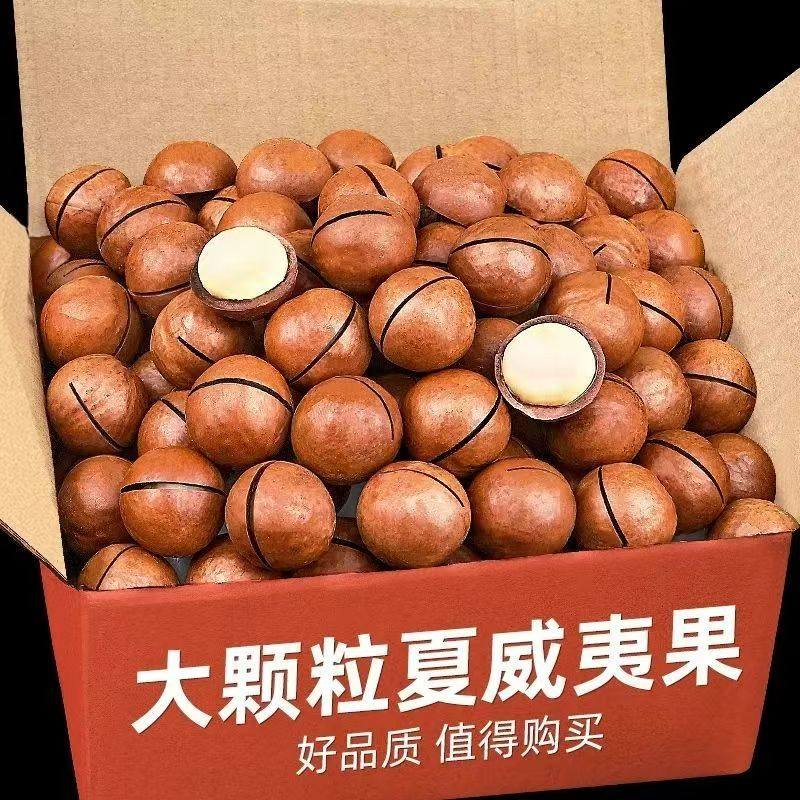 夏威夷果奶油味大颗粒送开口器干果坚果零食批发袋装年货坚果炒货,零食/坚果/特产,夏威夷果,淘宝优惠券,粉丝福利购,淘宝优惠卷