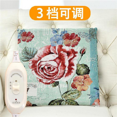 极速2021. Multifunctional removable washmablOe heaticng cush