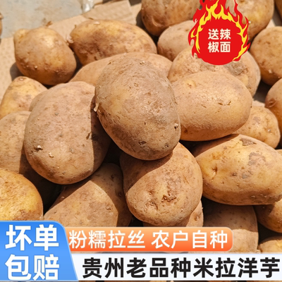 贵州威宁土豆老品种米拉洋芋新鲜高山土豆农家肥料农家自种马铃薯