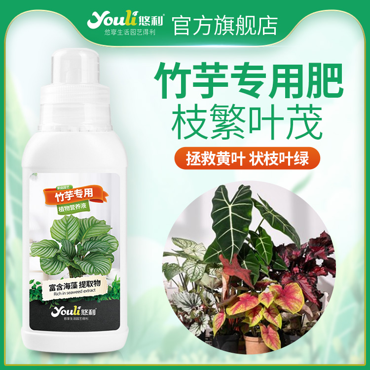 悠利竹芋专用营养液新品上新