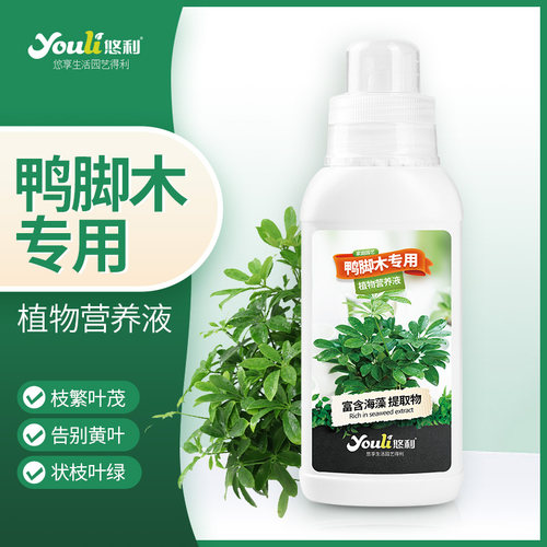 悠利鸭脚木专用营养液