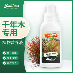 悠利千年木营养液肥料专用肥龙血树七彩盆栽室内家庭园艺肥
