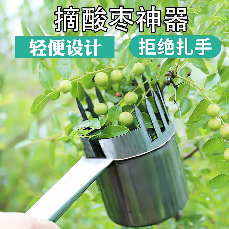 摘枣专用神器新款采摘酸枣专用神器摘山枣高空工具采收枣子野果李