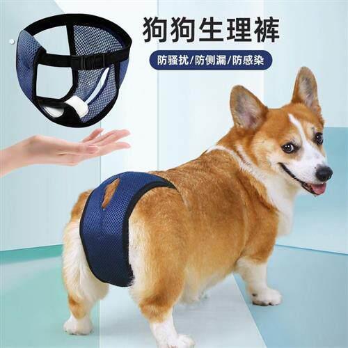 宠物狗狗生理裤经期姨妈安全裤母狗专用泰迪柯基防交配防骚扰神器