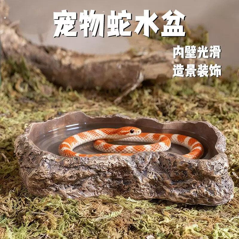 宠物蛇水盆泡澡岩石自然造景装饰玉米蛇食盆仿真猪鼻蛇创意用品