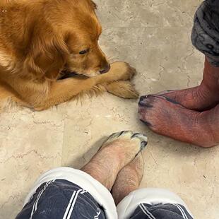 【到底谁是狗】狗爪袜仿真狗腿袜子立体动物爪子中筒袜抽象小玩意