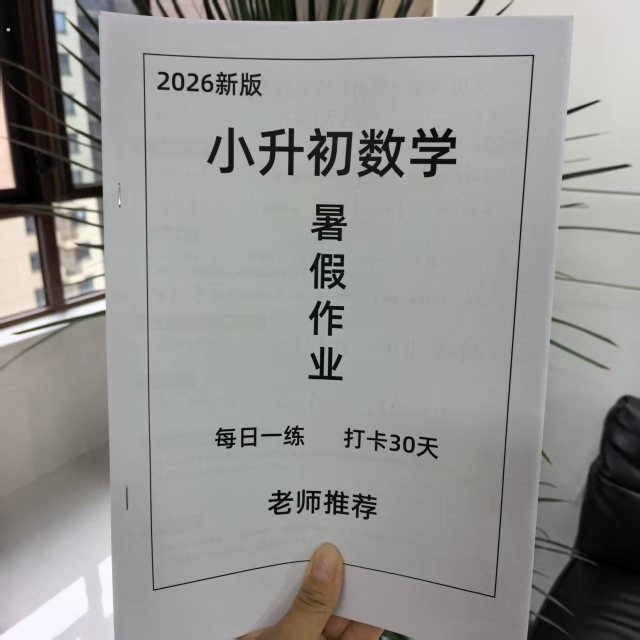 2026小升初语文数学英语暑假作业每日一练打卡30天计划迎战新初一