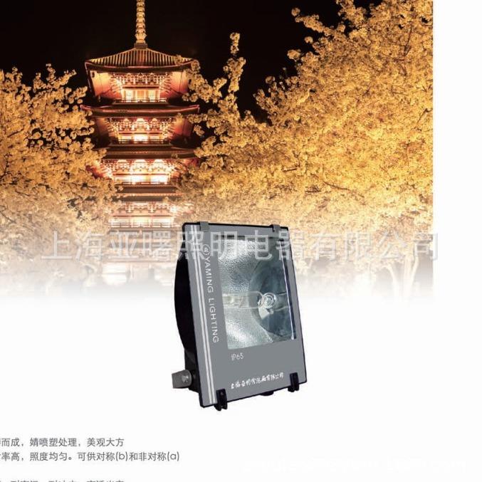 上海亚明ZY303HP-250W泛光灯具金卤灯具亚明1923亚字牌