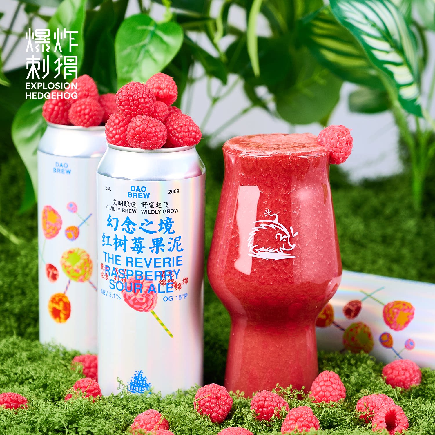 道酿幻念之境红树莓果泥精酿啤酒图片