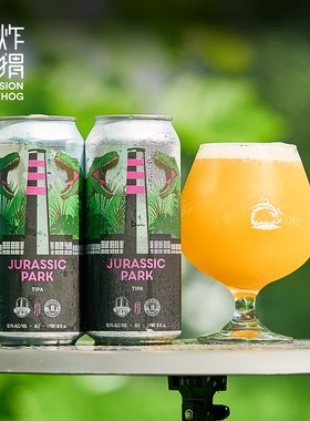 进口IPA！ 美国黑烟囱三倍/DDH帝国浑浊IPA精酿啤酒 473ml