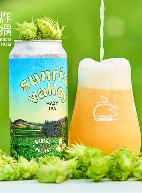 口粮！新西兰车库计划 日出山谷双倍浑浊帝国IPA进口精酿啤酒