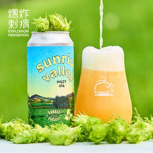 口粮 日出山谷双倍浑浊帝国IPA进口精酿啤酒 新西兰车库计划