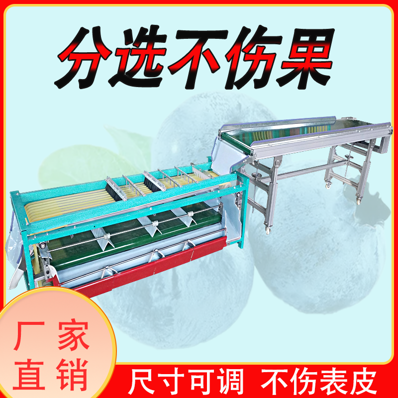 果蔬分选机蓝莓杨梅樱桃分级机水果李子山楂多功能筛选机