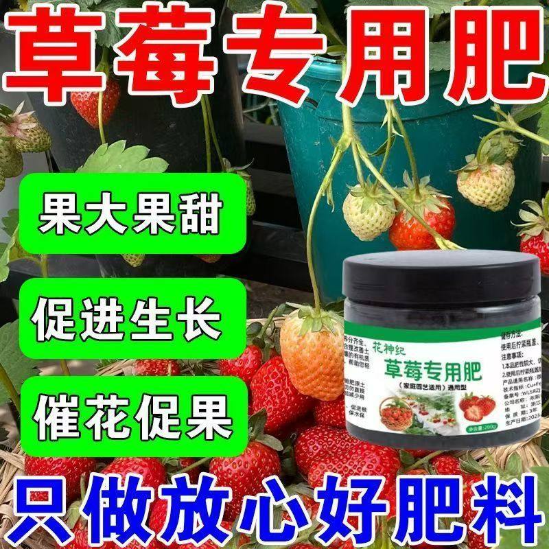 草莓专用肥植物营养液果大果甜花促果促生长奶油草莓红颜真红美玲,农用物资,其他肥料,淘宝优惠券,粉丝福利购,淘宝优惠卷