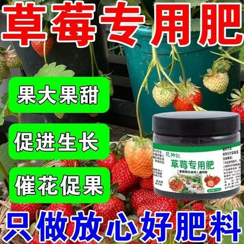 草莓专用肥植物营养液