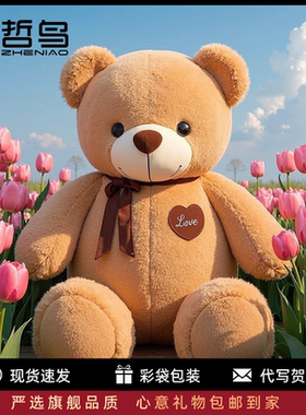 生日礼物女生熊玩偶大号布娃娃公仔毛绒玩具熊抱抱熊玩偶睡觉抱