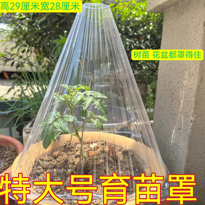 特大号育苗保护罩加厚蔬菜植物罩