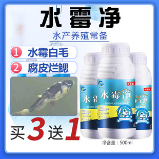 硫醚沙星水产养殖水霉病专用鱼药杀菌烂身用白毛病克星水霉净锦鲤