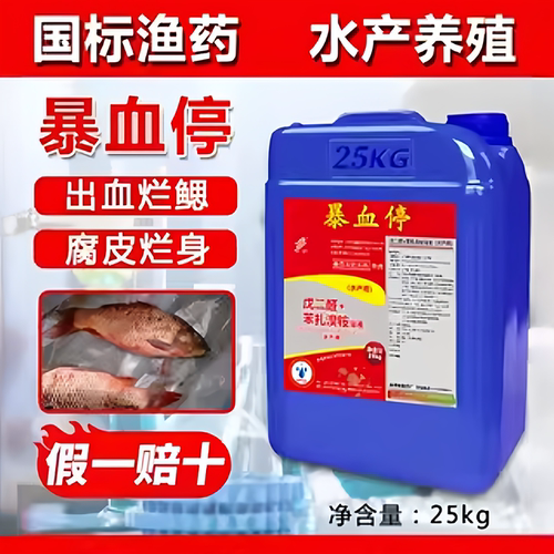 治疗爆发性出血烂身腐皮白毛有效