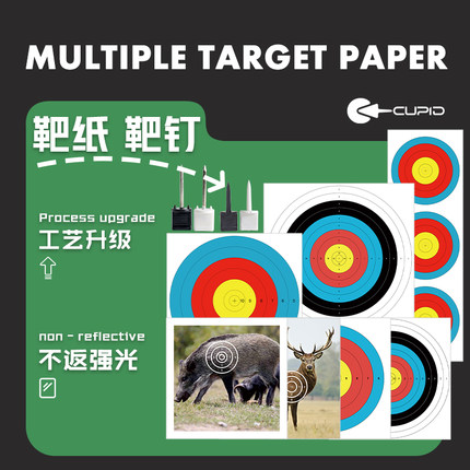 靶纸靶钉射箭比赛训练靶纸飞镖户外不反光箭馆批发定制靶图箭靶