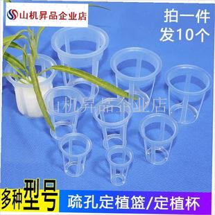 10个新款大孔定植篮 无土栽培C蔬菜加深水耕定植篮 水培固根器.