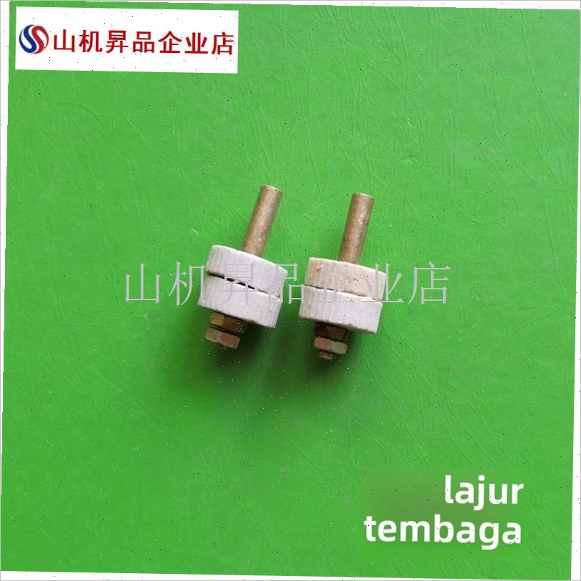 烫斗发热片300W/500W/700W芯片不调温普O通电热芯片云母片插头铜.