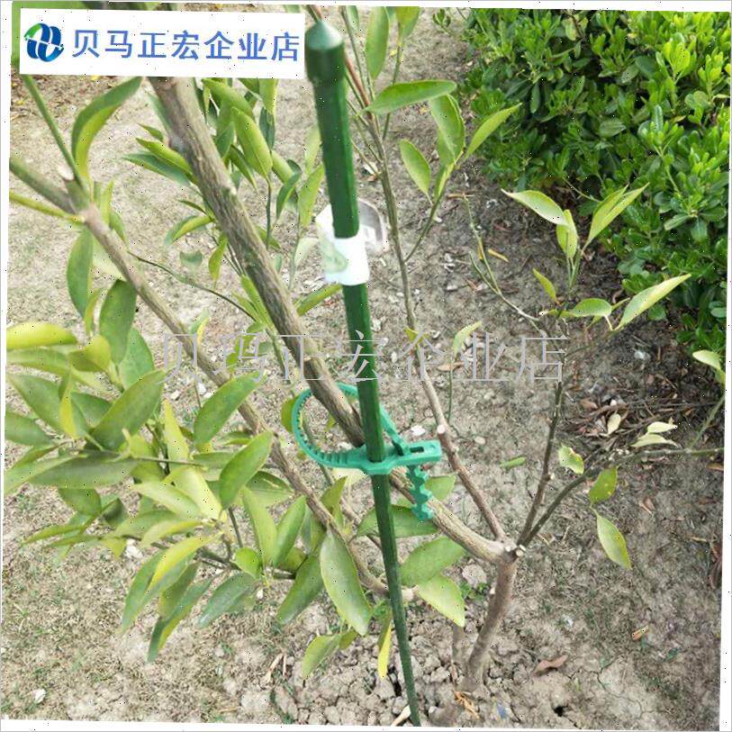 5套装 小树苗防倒支撑杆 x植物支架果树架子移栽树木支撑杆支撑